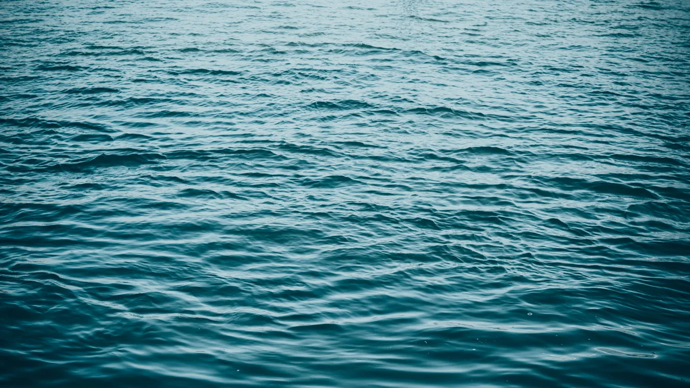 Holttestet találtak a Szamosban