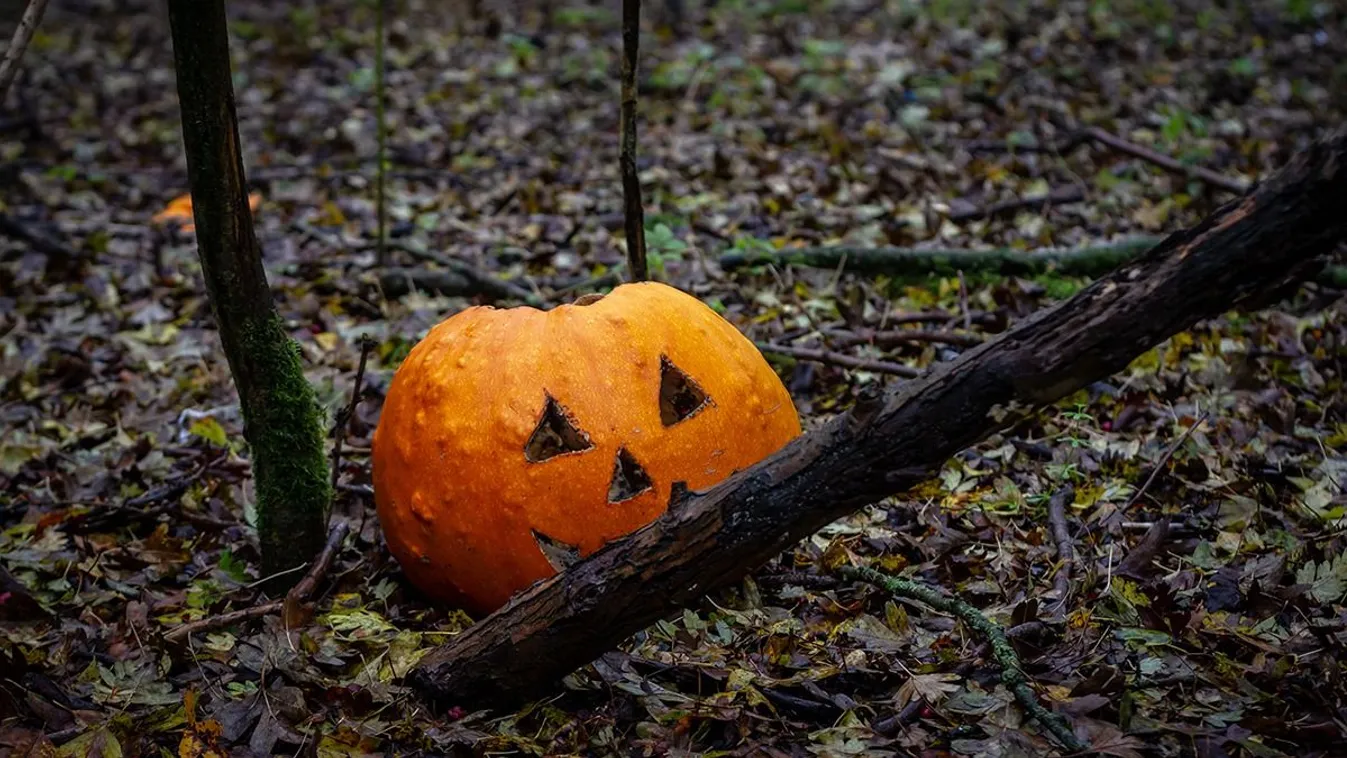 Veszélyes, ha ide dobod ki a Halloween tököt