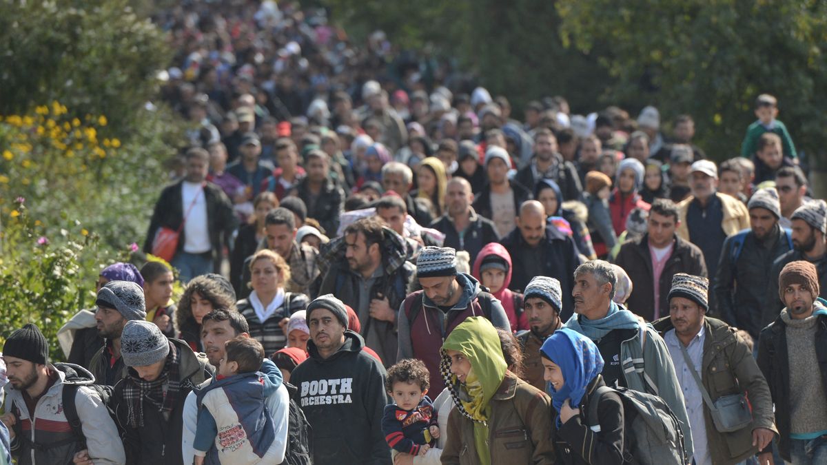 Ausztriában a menedékkérők 25%-ának január 1-jén van a születésnapja