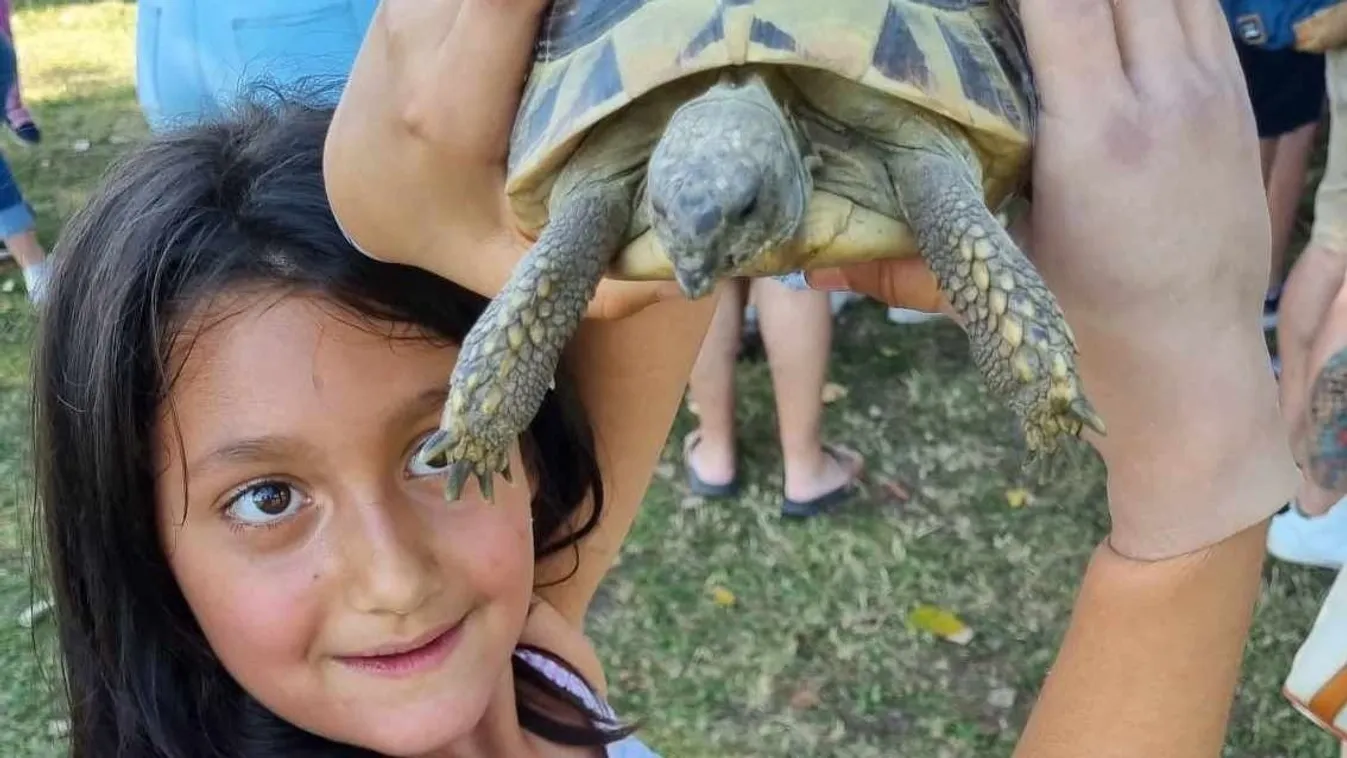 Szörnyű baleset miatt kapott műkezet a nyolcéves Lilien