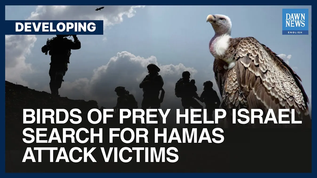 Ragadozó madarakkal kutatnak az izraeliek az eltűntek után