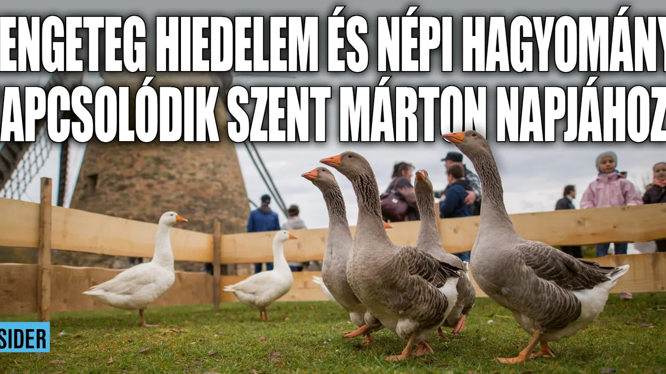 Mit ünneplünk pontosan Márton napon?