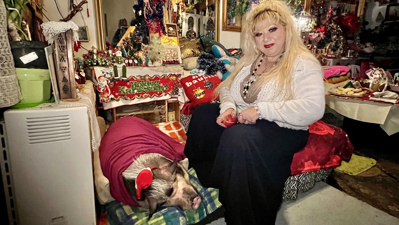 Így ünnepel Zsanna és 75 kilós törpemalaca