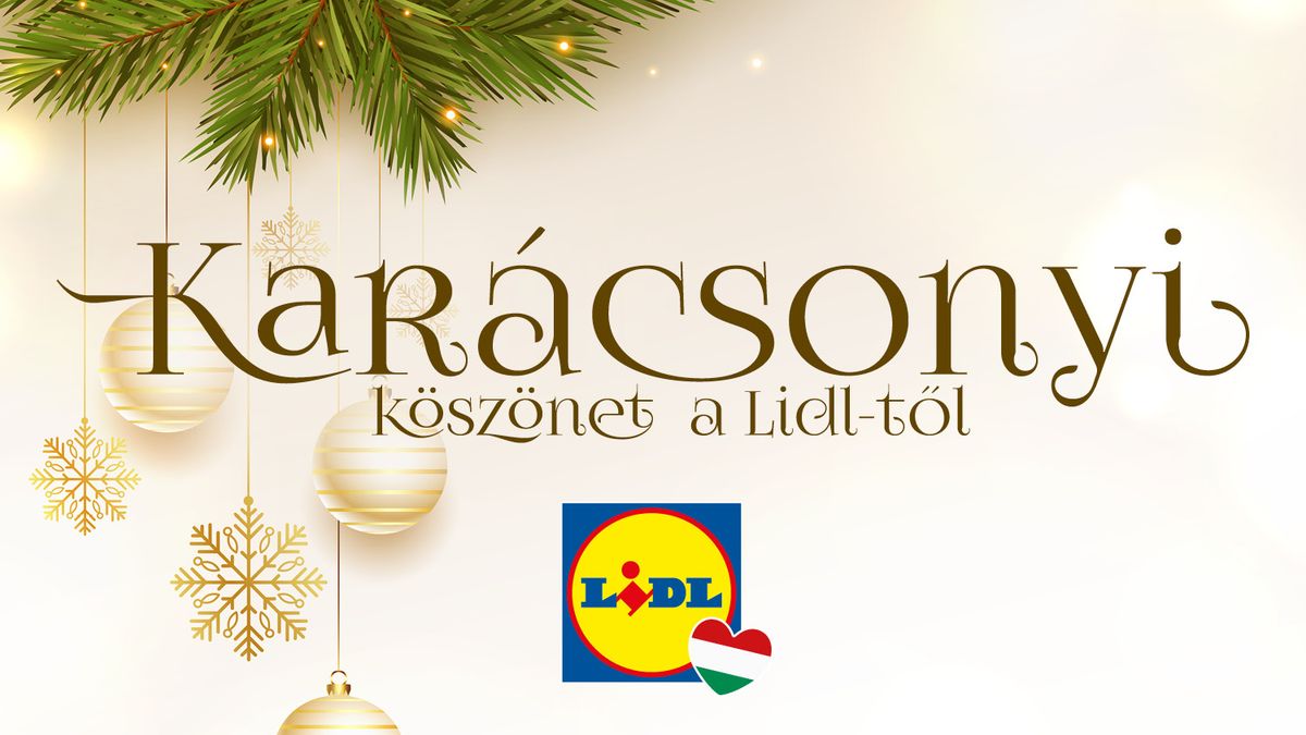 Karácsonyi köszönet a Lidl-től (X)