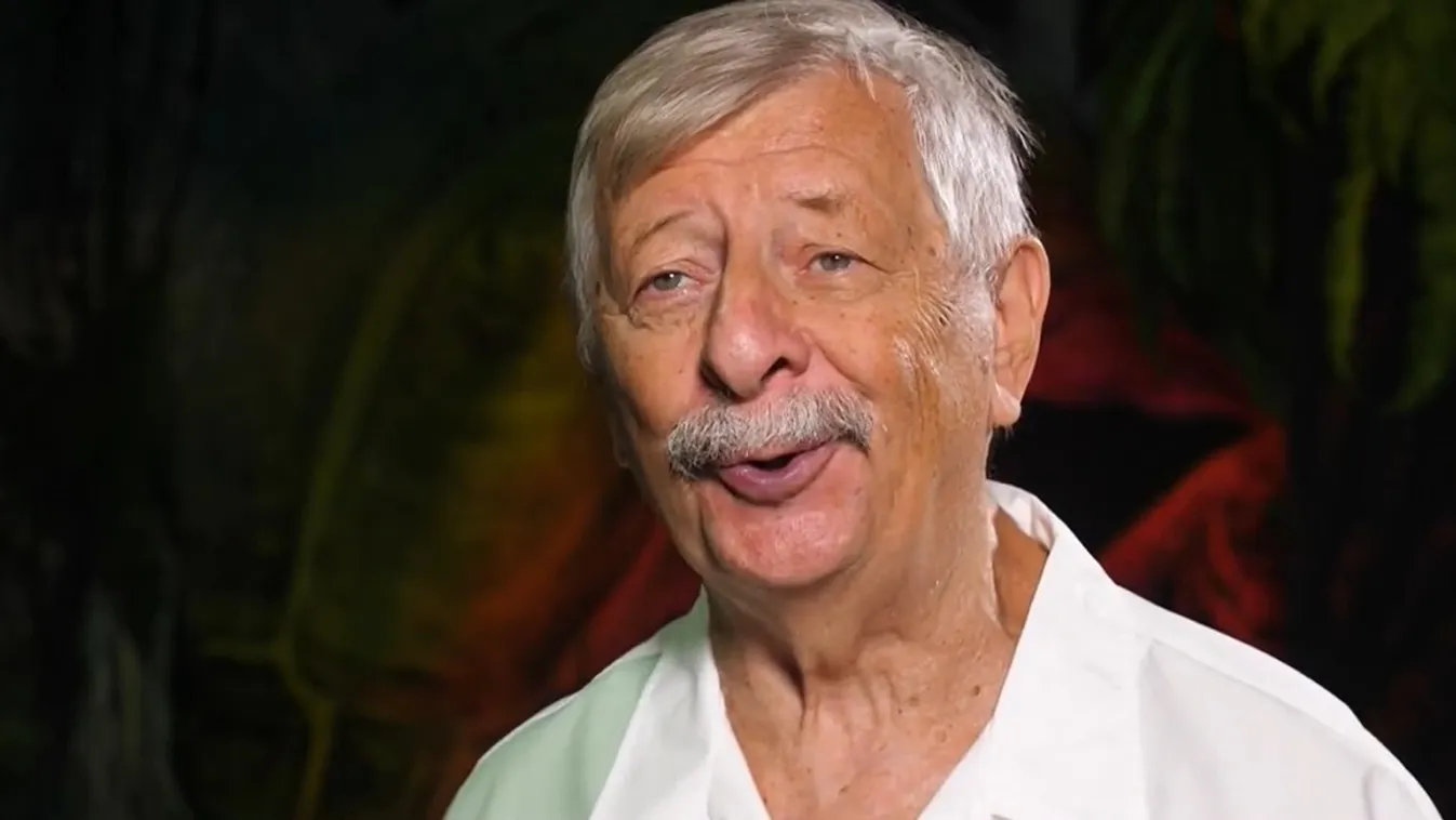 Várkonyi Andrást komoly fájdalmak kínozták