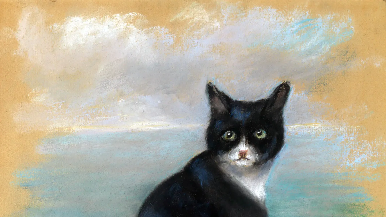 A macska, aki három csatahajó elsüllyedését is túlélte