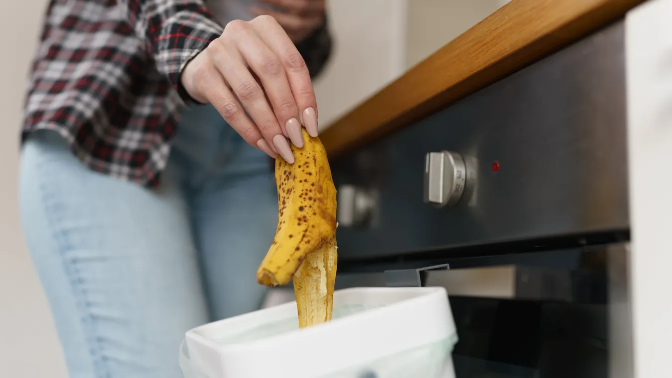 Ne dobd ki a banánhéjat, csodát tesz a növényekkel