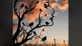 Teszt: most kiderül, milyen tipikus személyiség vagy