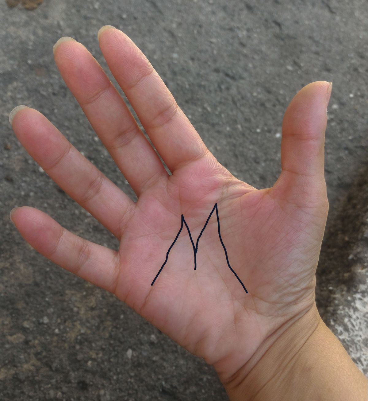 Lines,On,The,Palm,Of,The,Hand.,The,Hand,With