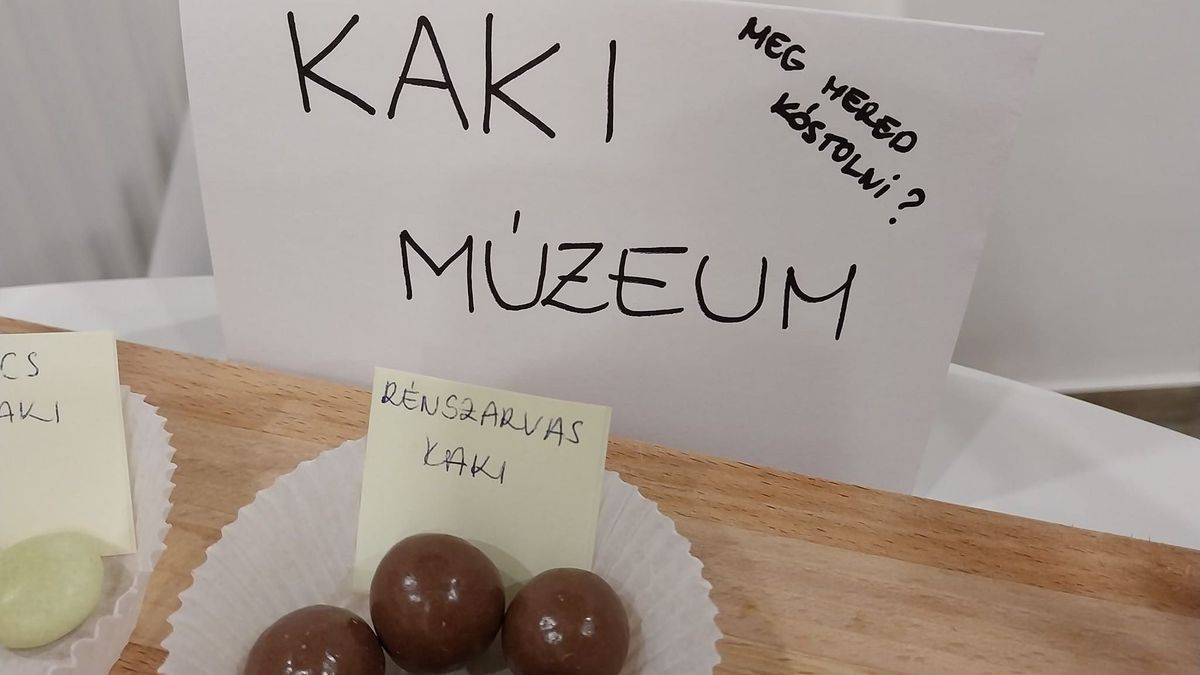 Hazánkban is hódít a manóőrület, az első Kaki múzeum is hozzájuk köthető