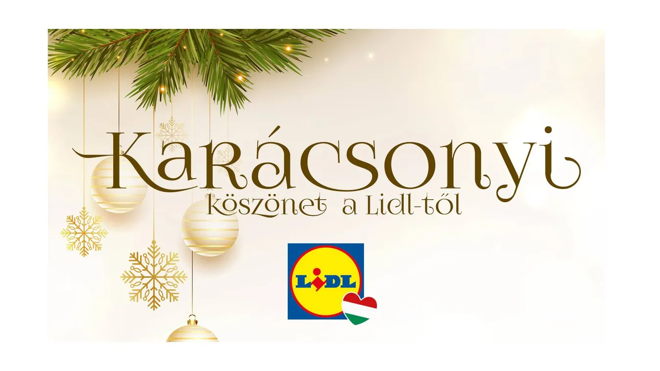 Karácsonyi köszönet a Lidl-től (X)