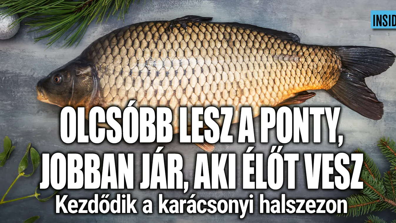 Ennyibe kerül idén karácsonykor a hal