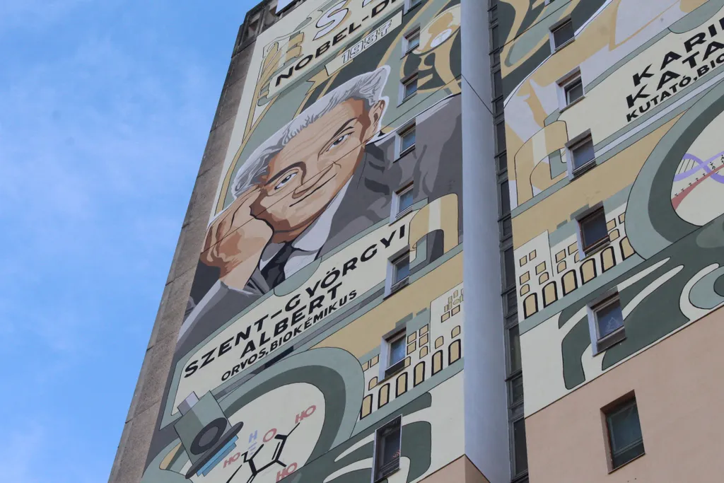 A város két Nobel-díjasának freskóját festette fel a legnagyobb épületére. A képen Szent-Györgyi Albert / Fotó: E.R.A.