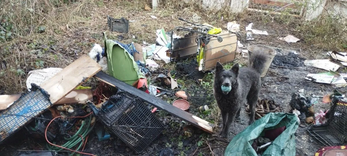 Papadimitriu Athina leégett házát nem hagyja ott