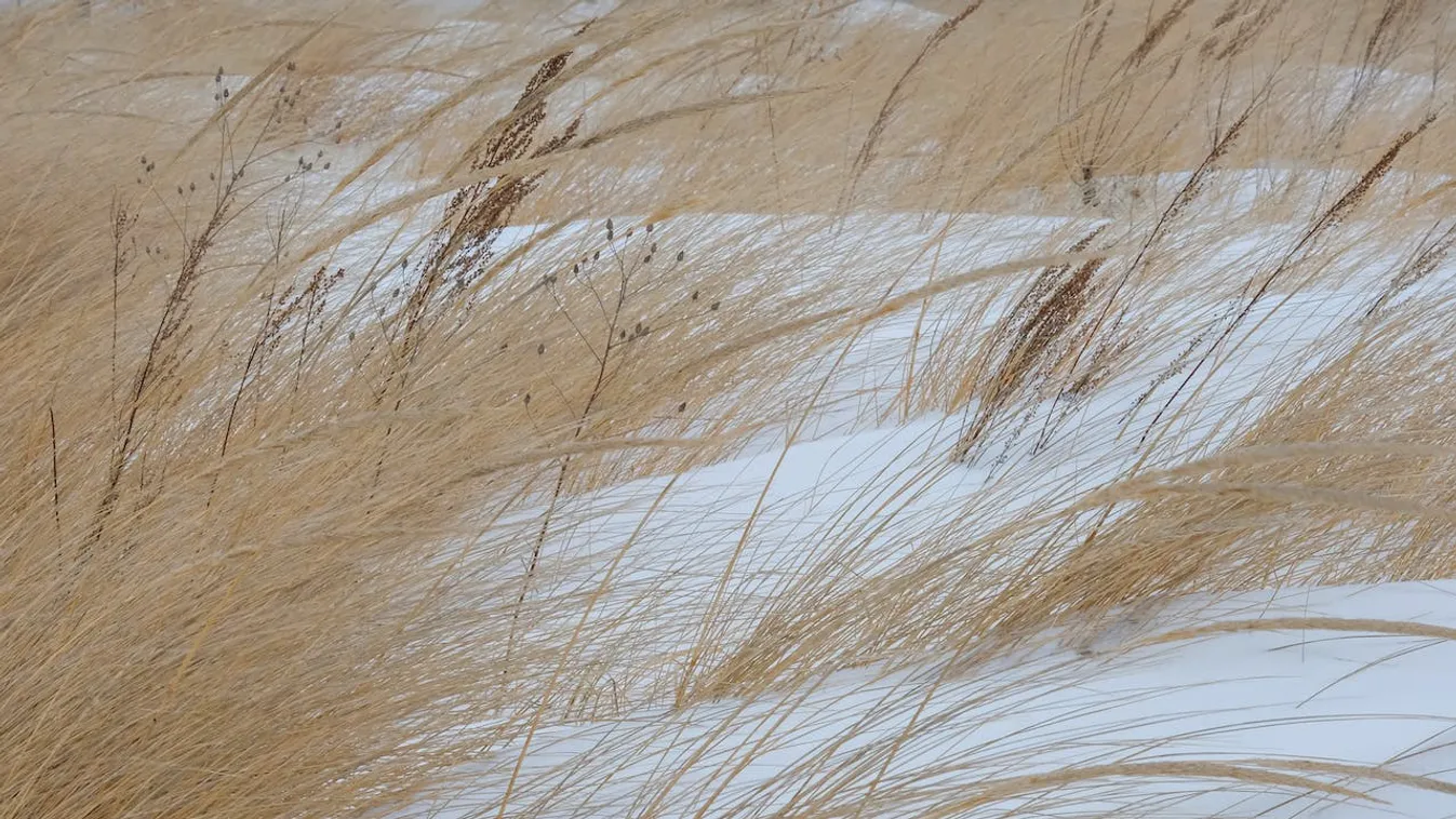 Viharos szél és havazás csap le az országra