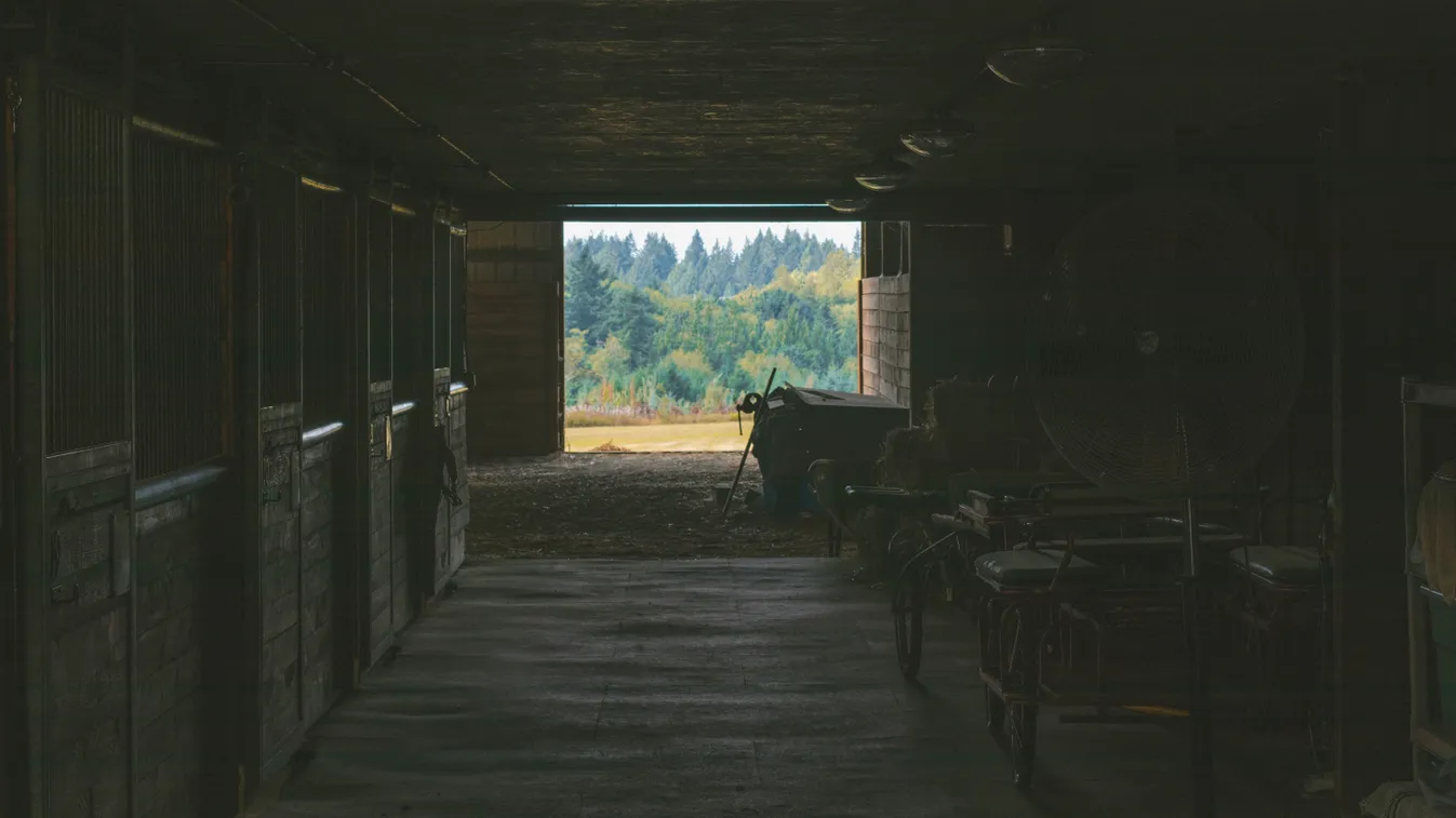 Második világháborús aknagránátot találtak egy istállóban