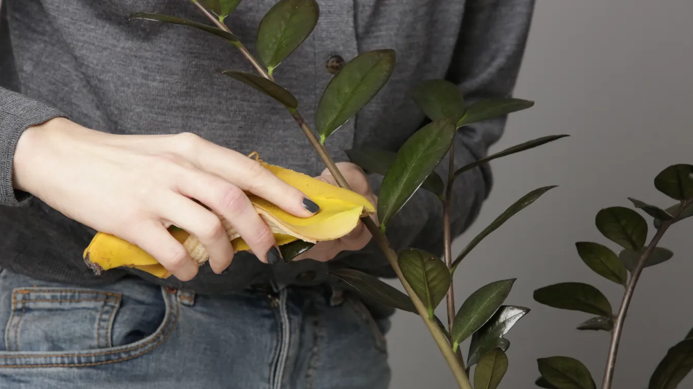 Ne dobd el a banán héját, eszméletlen, mire jó