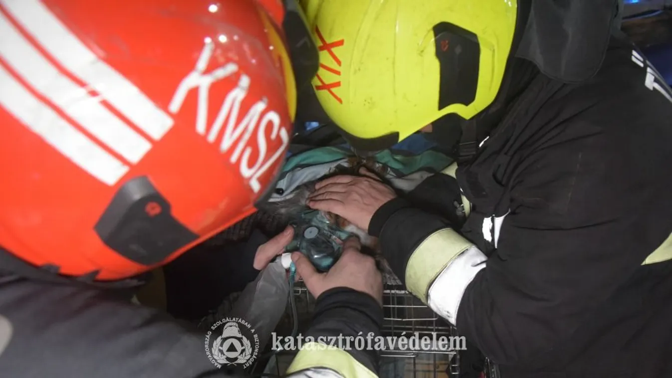 Tűz Soroksáron: gyerekeket és állatokat menekítettek ki