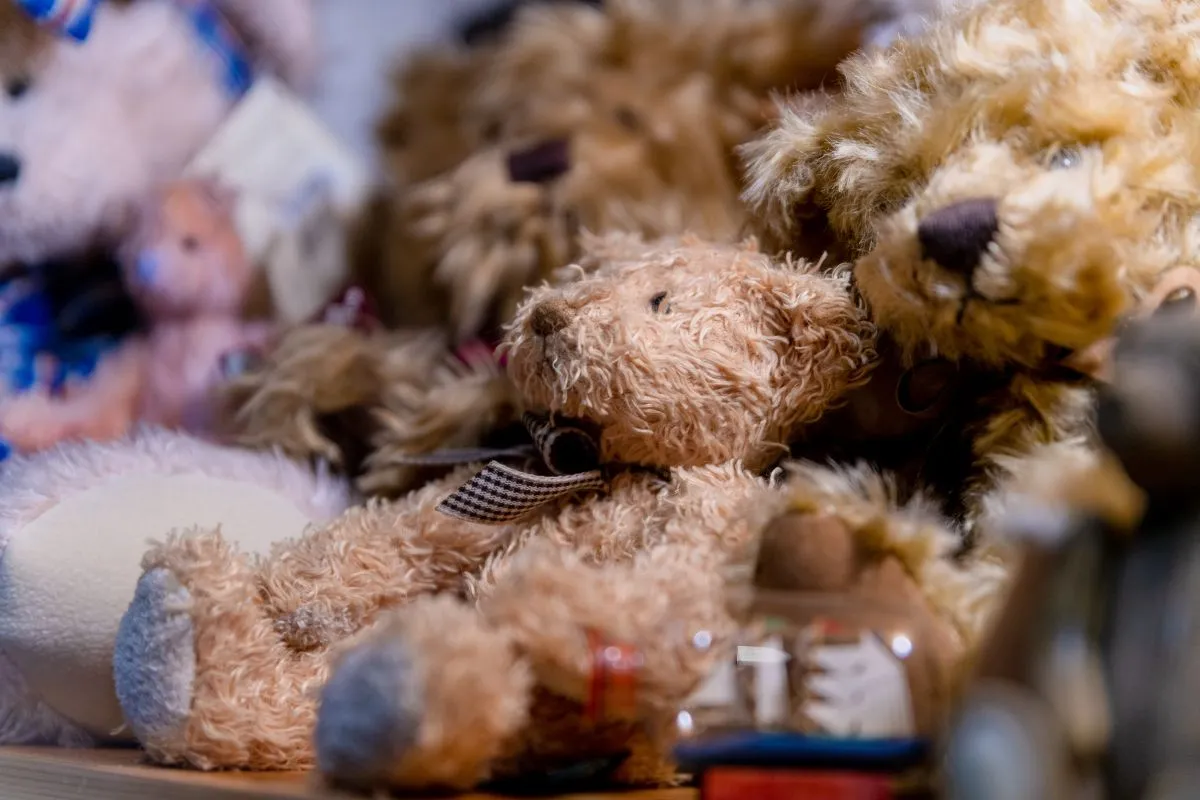 maciművek, Monzák-Simon Kriszta