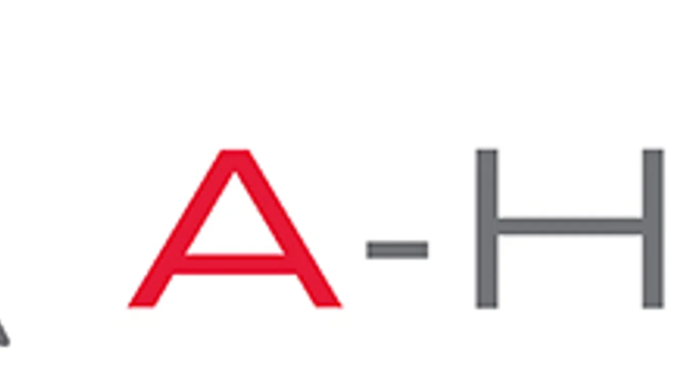 Házkutatás a Lánchíd felújítását végző cégnél