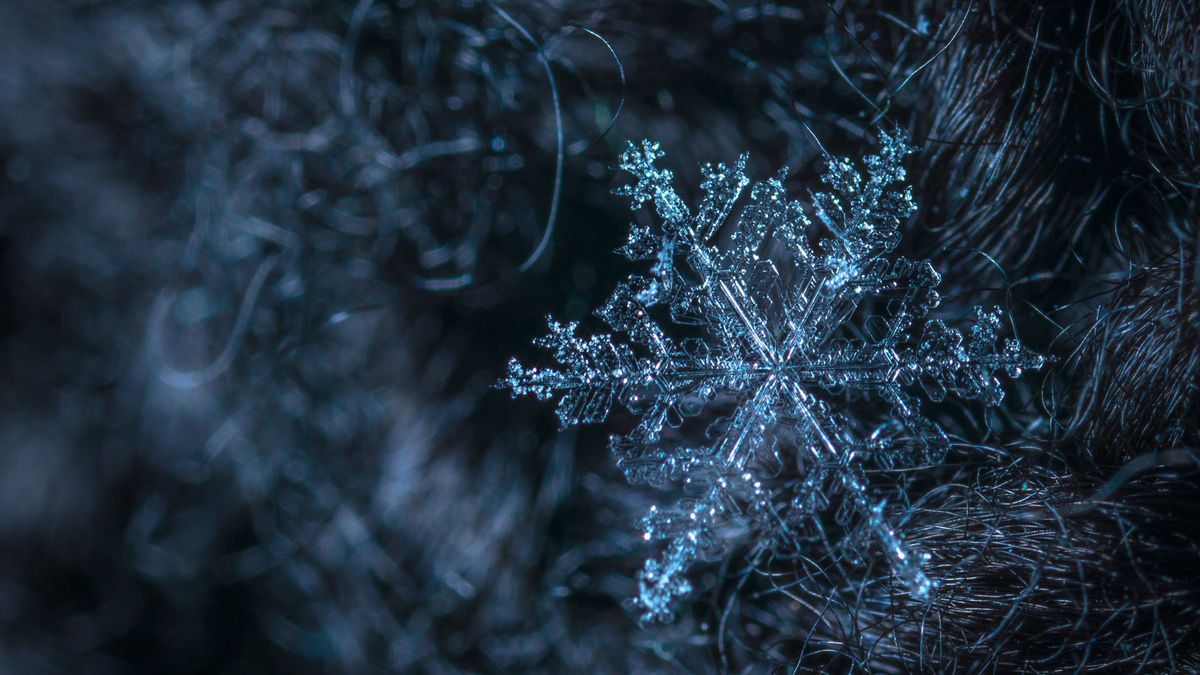 -12 fok reggel, délután maximum 1: végleg visszatér a tél