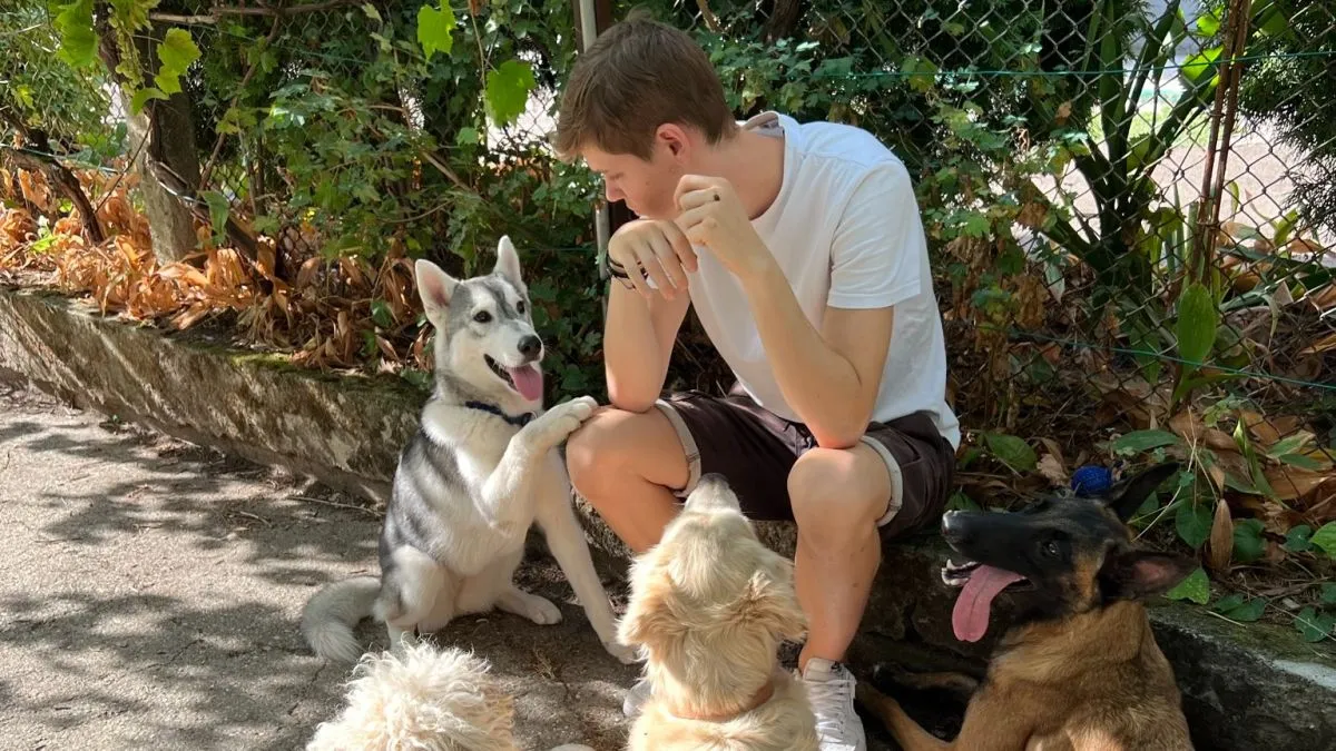 Zsömi (lent középen) többször is megmentette már Attila életét / 