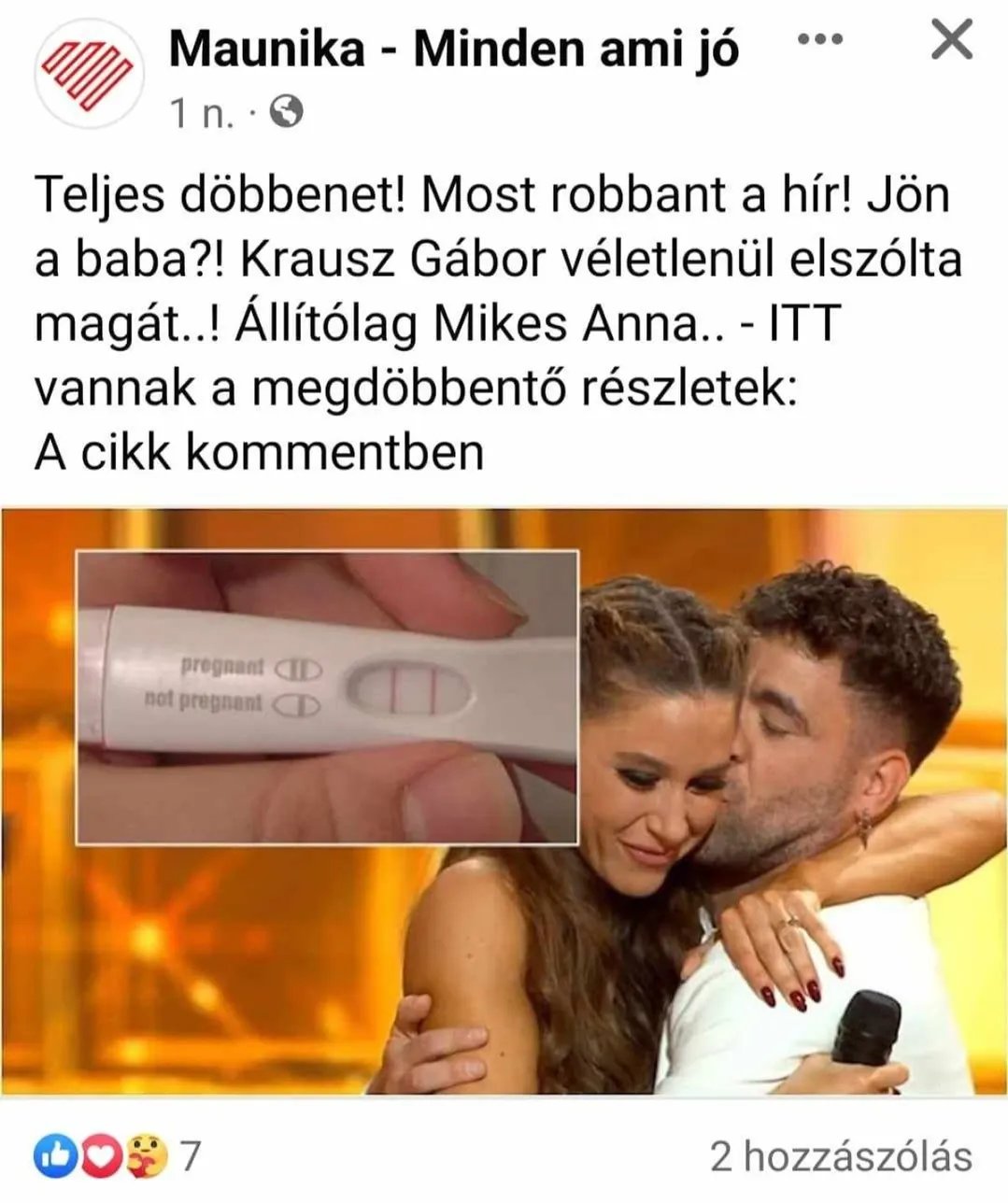 Krausz Gábor, Mikes Anna, álhír 