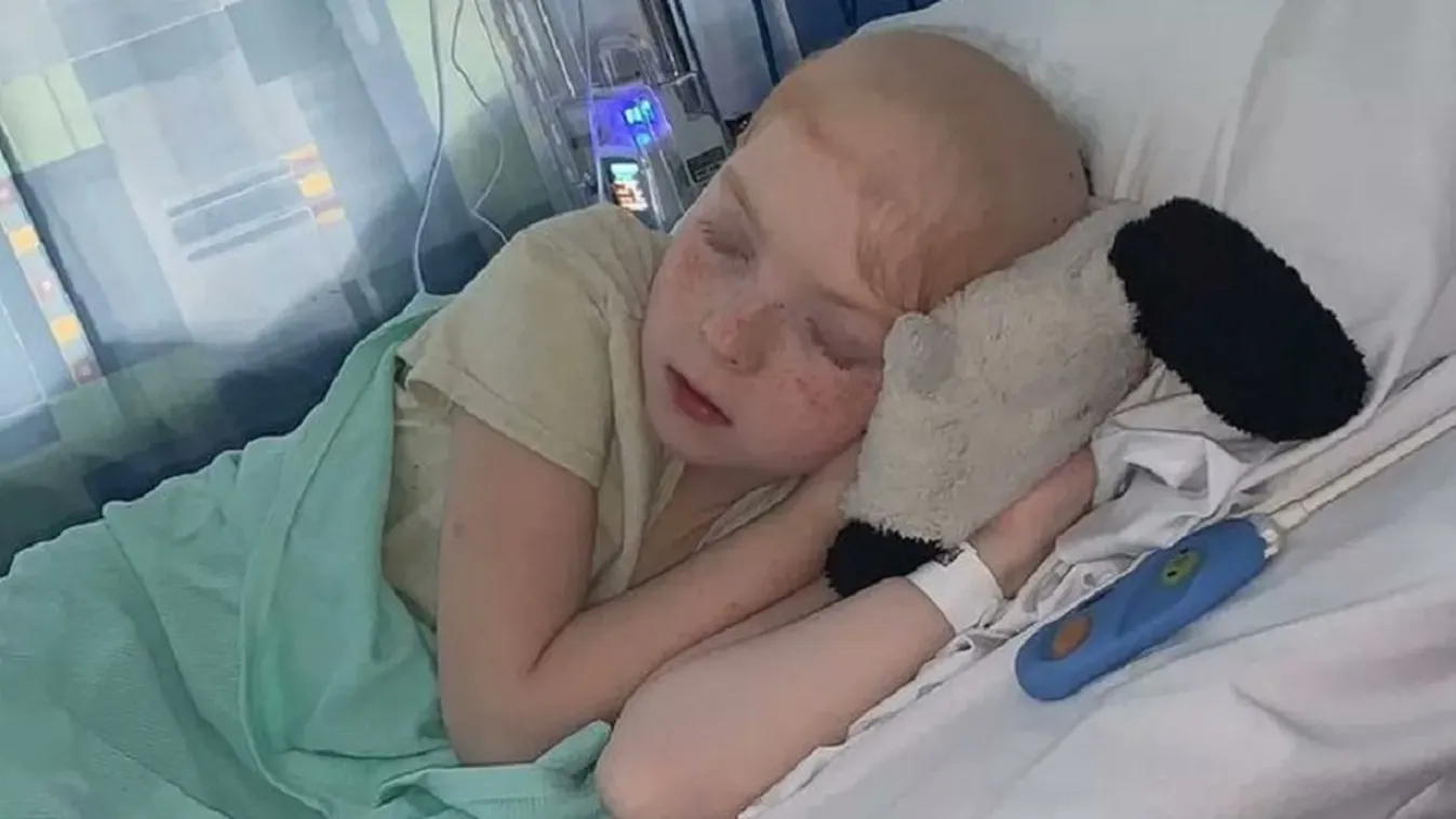 Édesanyja után a kis Lily is legyőzte a rákot