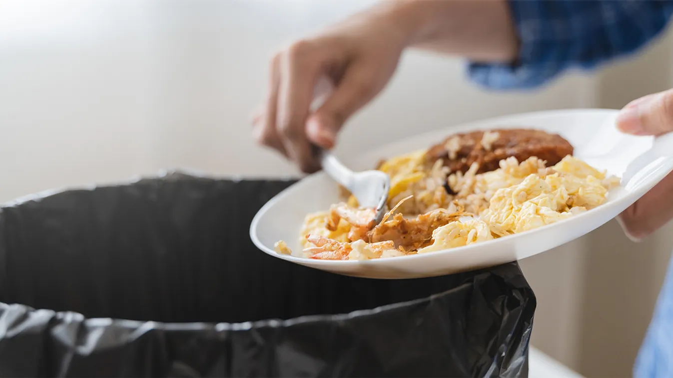 Elindult a konyhai zöld- és élelmiszer-hulladék gyűjtése