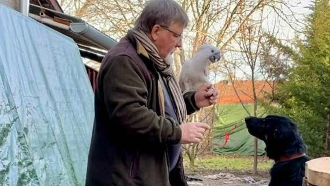 Két bántalmazott kutyát fogadott örökbe Győr polgármestere