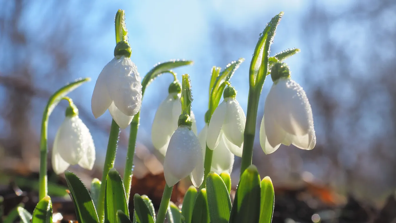 Hogyan éljük túl a januárt?