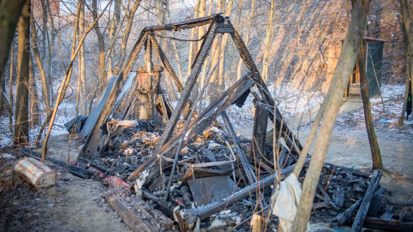  Szívszaggató: tűzben elhunyt gazdáit várja sírva Loki