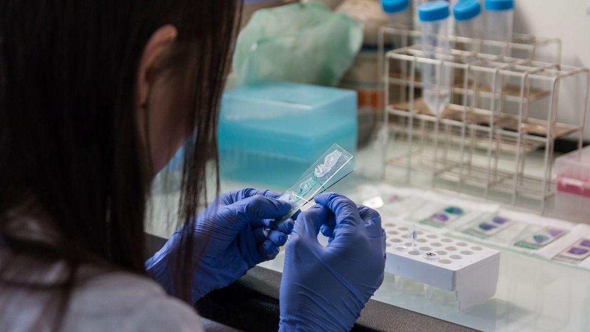 Elképesztő tudományos áttörés: már vérteszttel is kimutatható az Alzheimer-kór