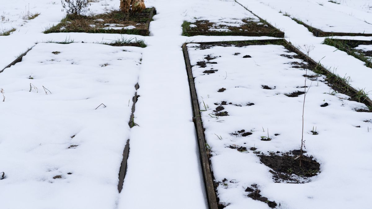 Januárban sem lustálkodhatunk a veteményes mellett - ilyen teendőink vannak a hónapban