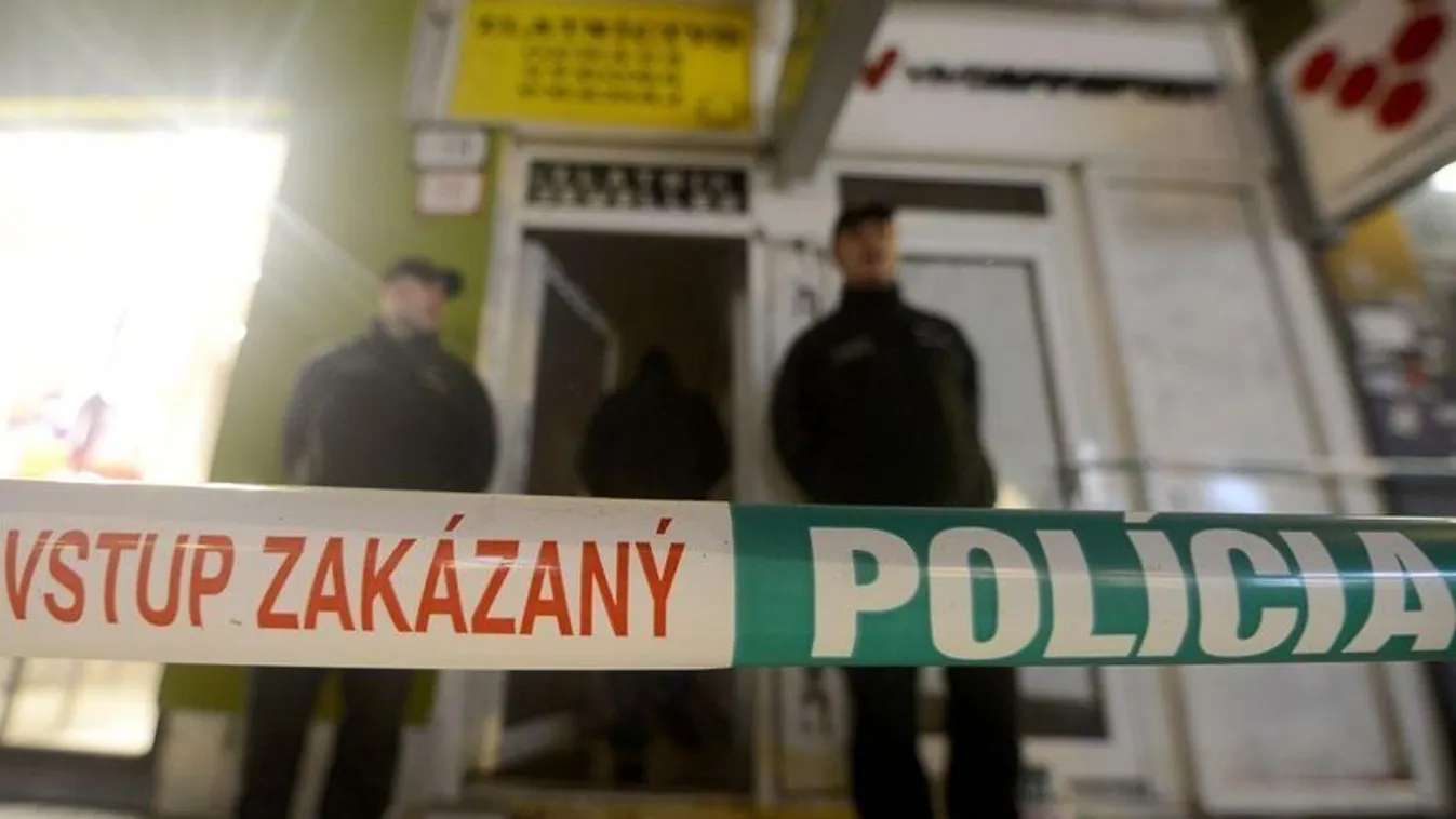 Mindent bevallott a bíróságon a pozsonyi hasfelmetsző