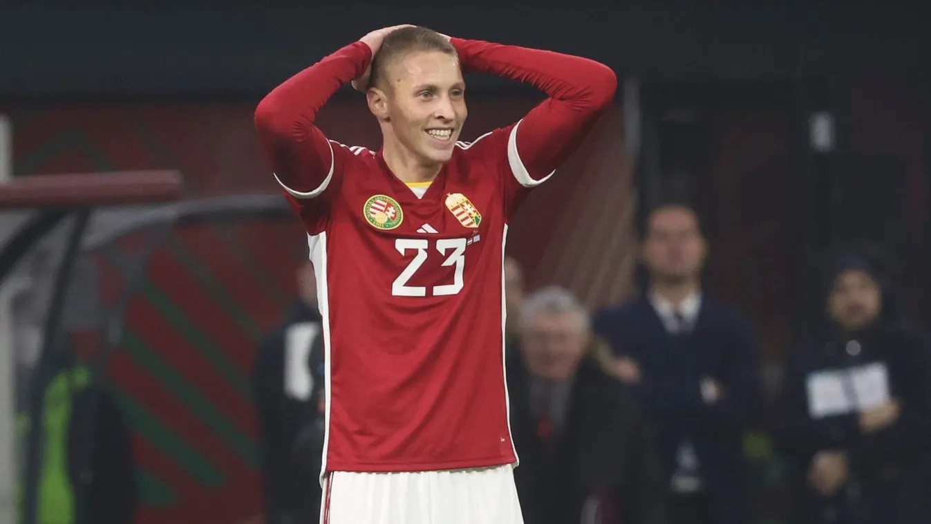 Dárdai a magyarokkal akar utazni az Eb-re