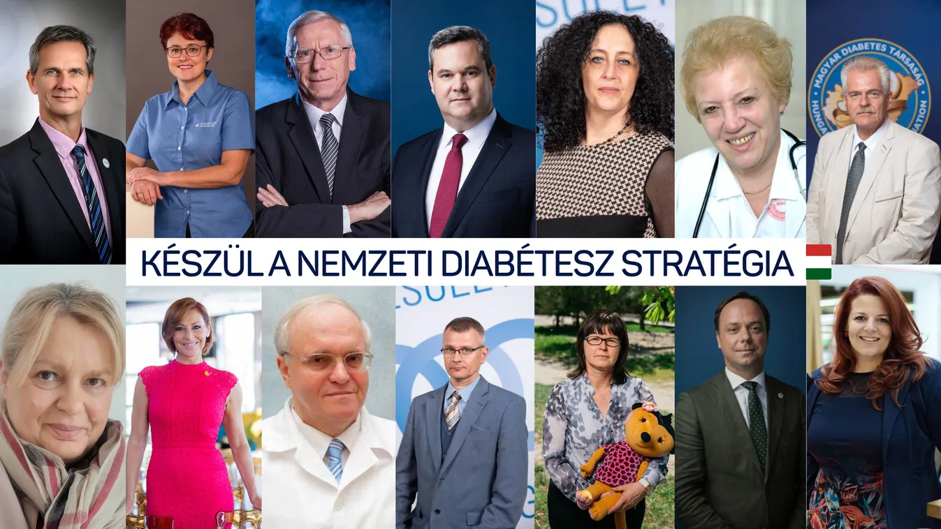 Elkezdődött a Nemzeti Diabétesz Stratégia kidolgozása