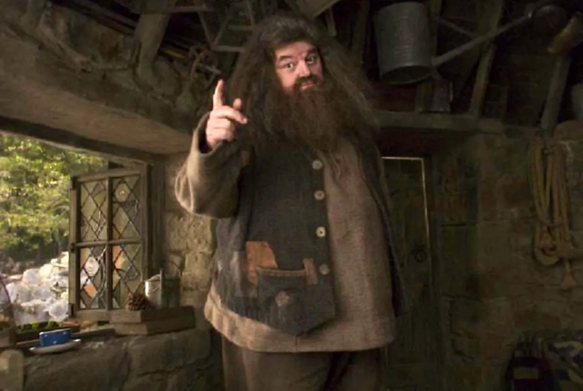 Rubeus Hagrid, a Harry Potter regénysorozat egyik kulcsszereplője /