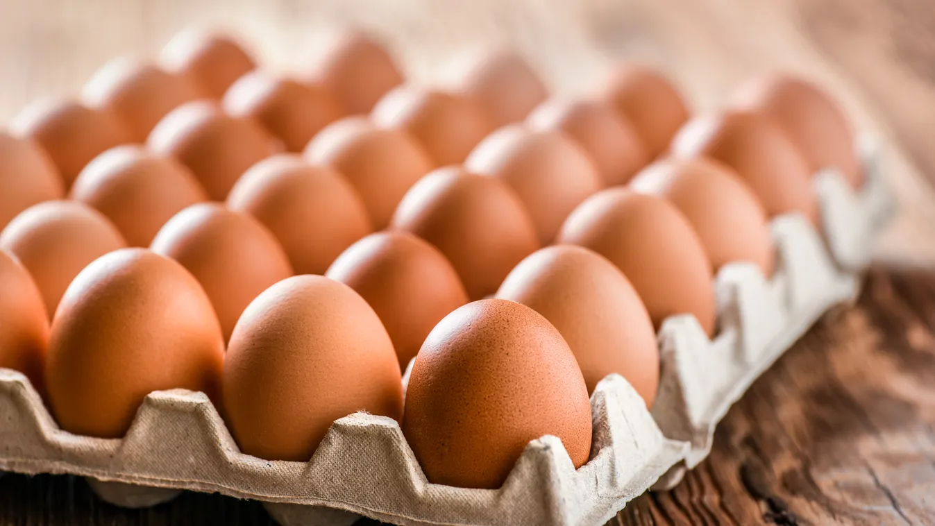 Török tojás, bajor sör, oroszországi üzletek háború idején