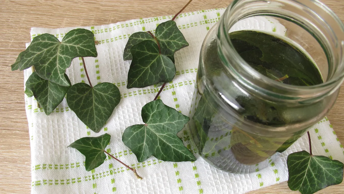 Tegyél borostyánlevelet a szennyeshez, zseniális ez a trükk