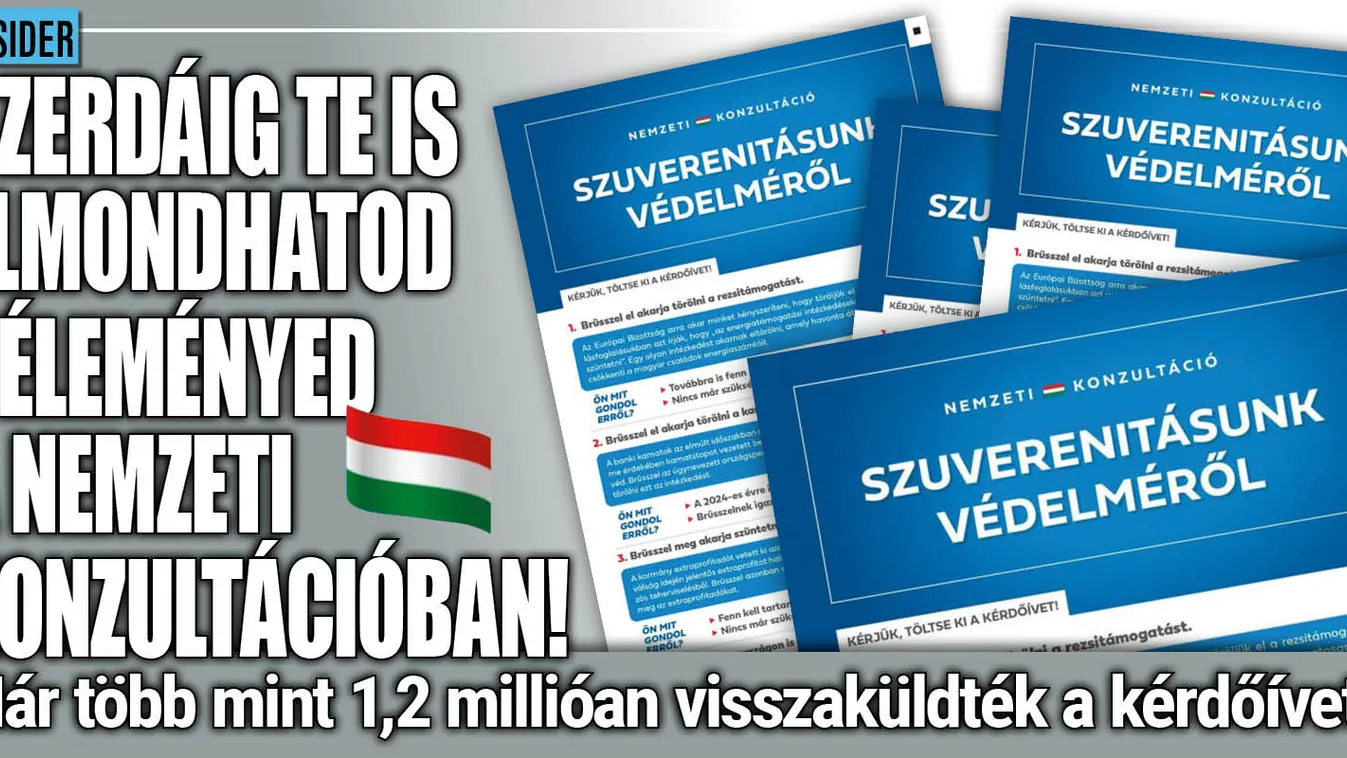Január 10-ig lehet visszaküldeni a nemzeti konzultációt