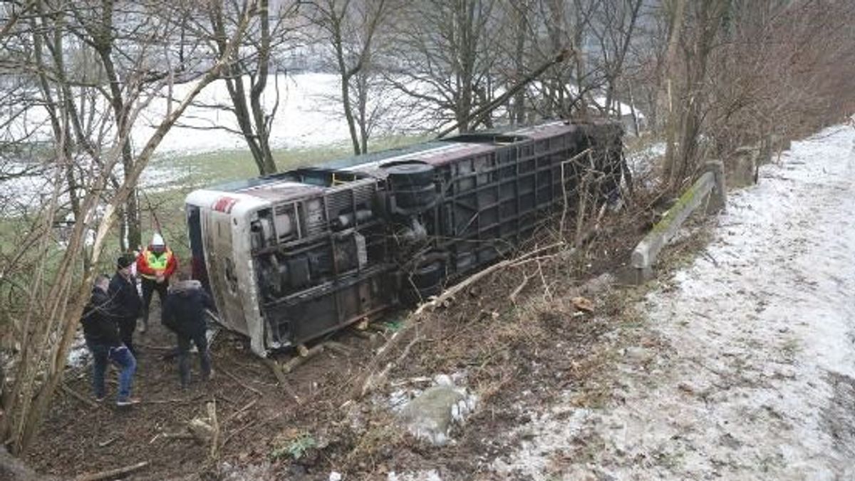 Szívszaggató: hűséges kutyusa máig várja haza a komlói buszbaleset fiatal áldozatát