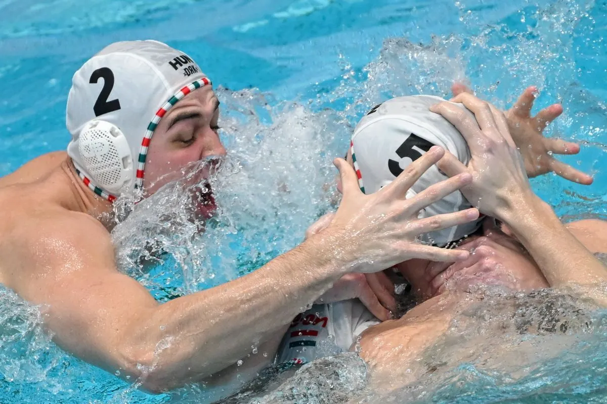 TÁTRAI Dávid; VIGVÁRI Vince