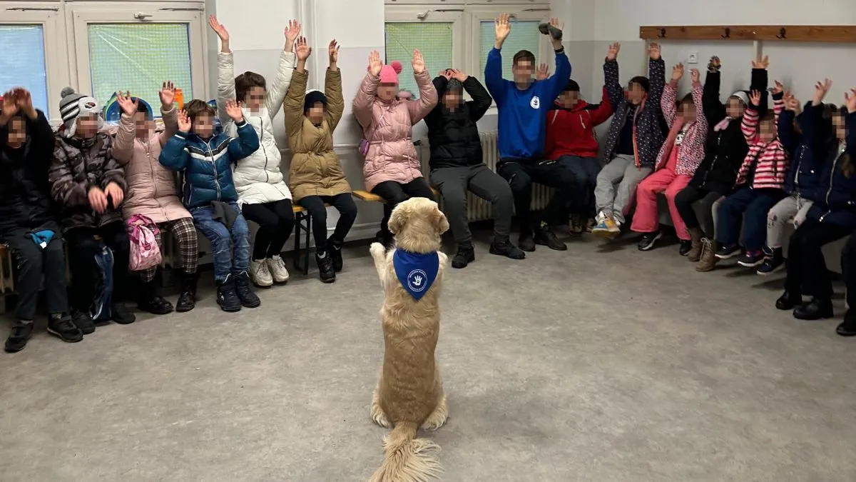 Attila Zsömike szereplésével is építette fel rehabilitációs kutyakiképző és kutyasegítő vállalkozását. Sokaknak segítenek.