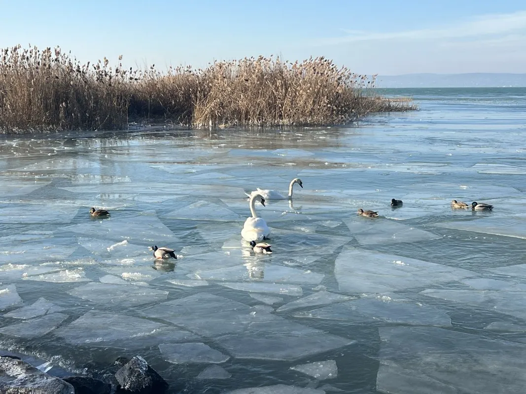 Balaton, téli Balaton,