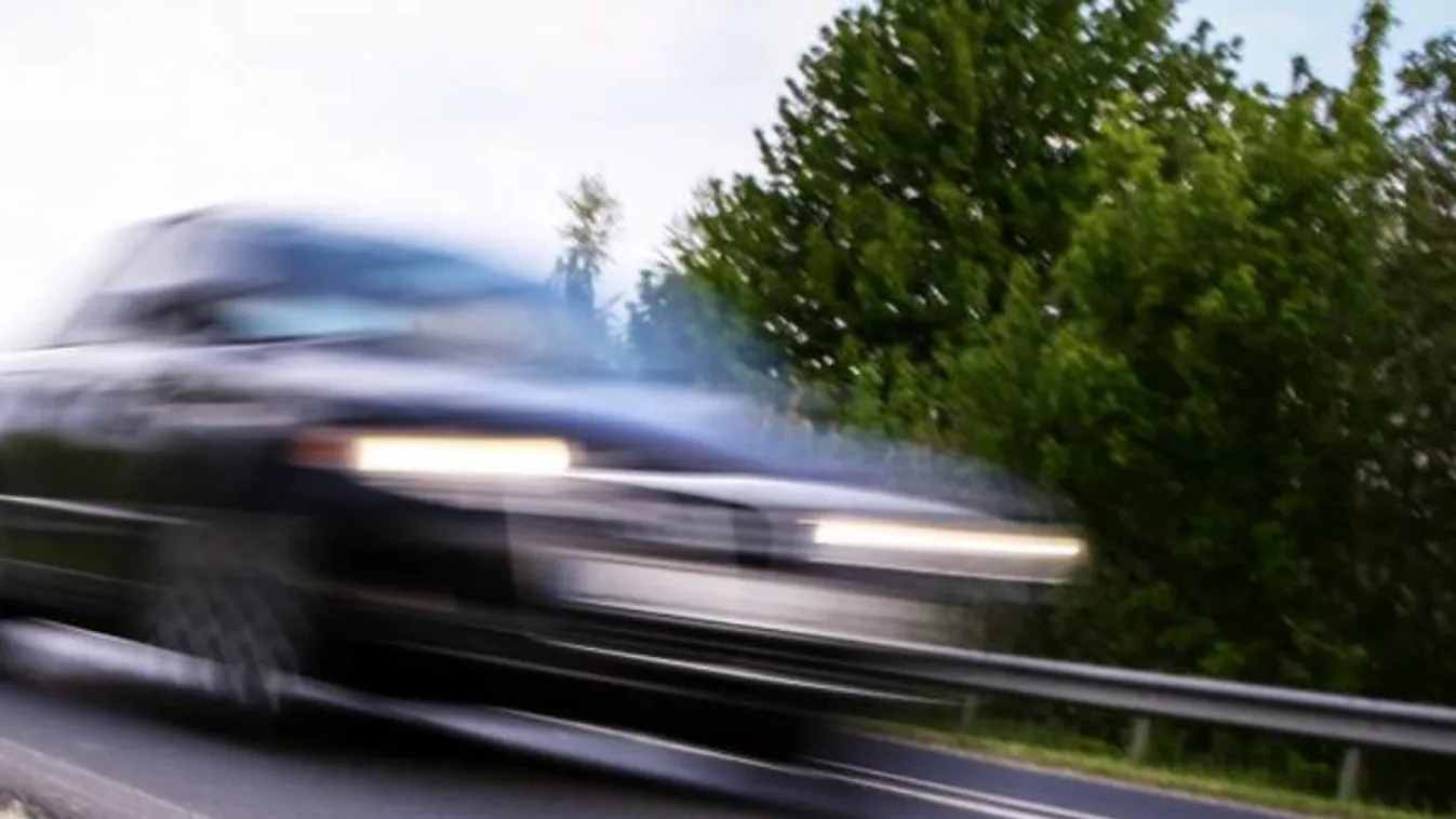 Ezzel az applikációval lehet az állati tetemeket bejelenteni