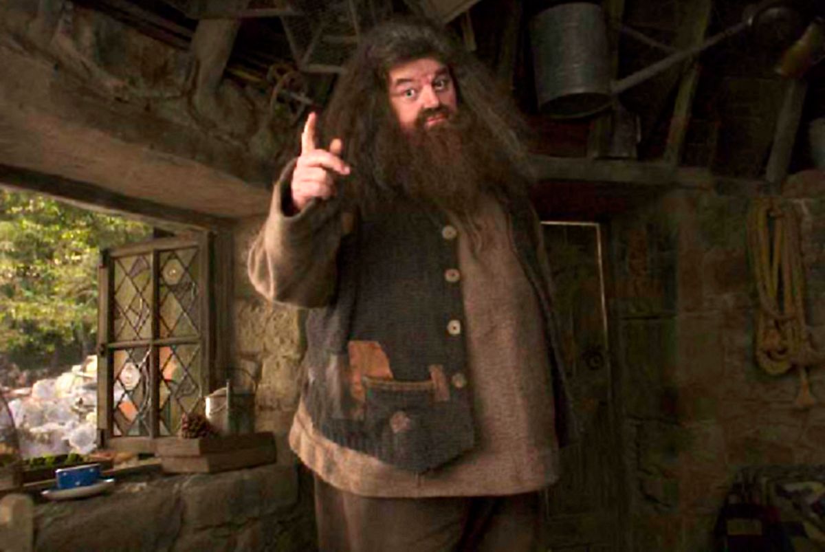 Rubeus Hagrid, a Harry Potter regénysorozat egyik kulcsszereplője / 