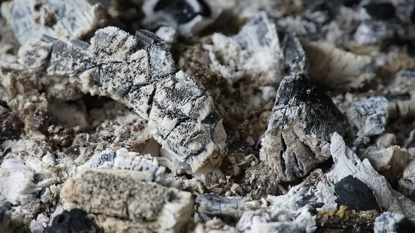 Kincset ér a fahamu, ezért érdemes összegyűjteni