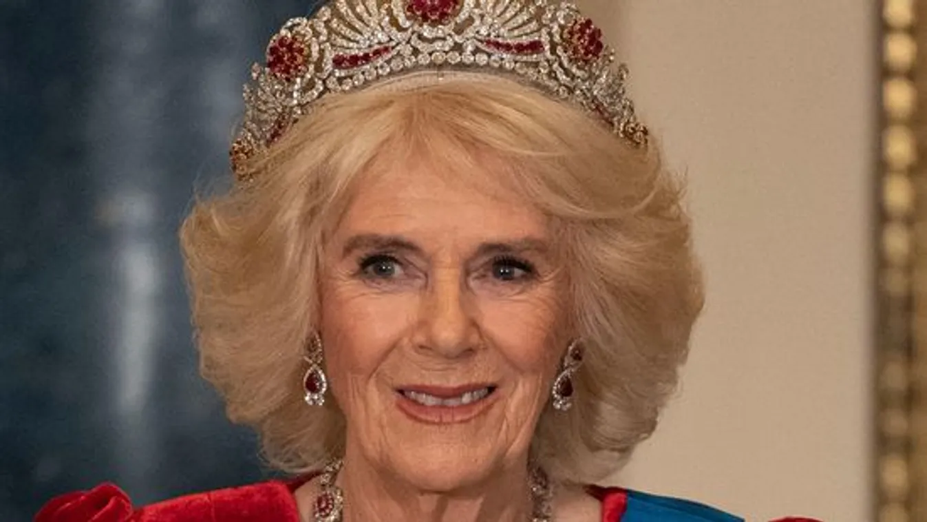 Megalázó csapással számol le Kamilla királynő Harryékkel