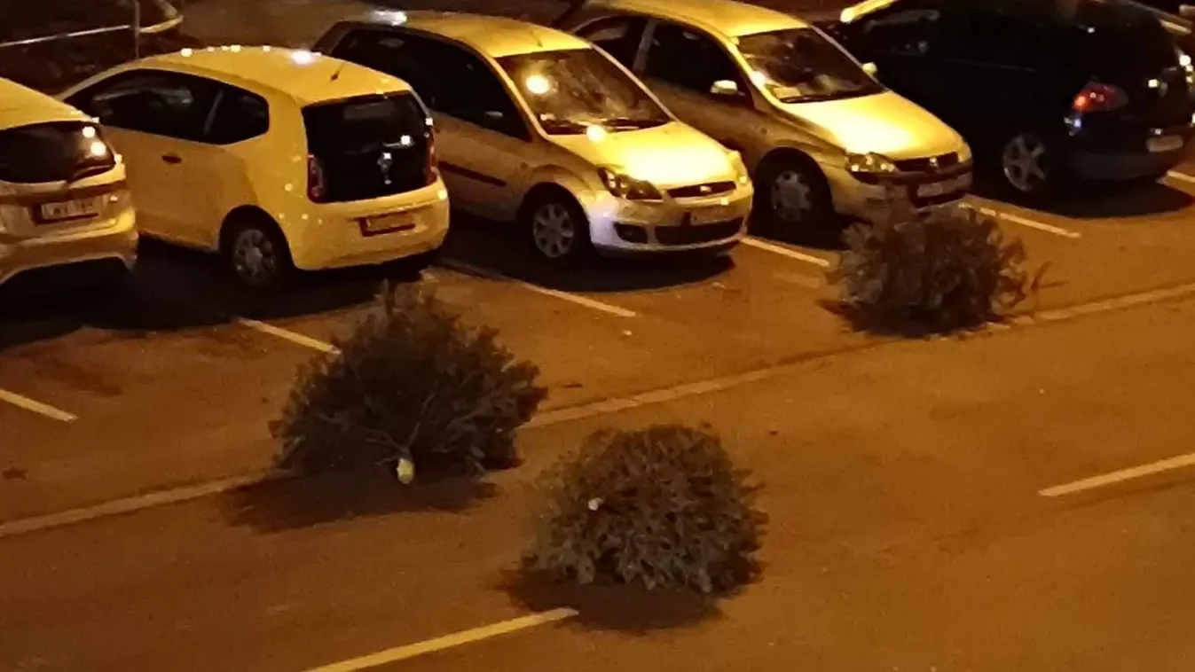 Balesetet előzött meg a bringás futár - Videó